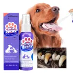 Cat and dog dental cleaning spray, removes stains and freshens breath, pet oral care spray.