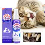 Cat and dog dental cleaning spray, removes stains and freshens breath, pet oral care spray. - Image 2