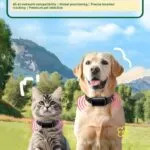 Beidou 4G pet GPS locator, cat and dog anti-loss wireless collar, global positioning satellite