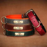 Personalized Customized Leather ID Nameplate Dog Collar Soft Padded Dogs Collars Free Engraving Name for Small Medium Large Dogs