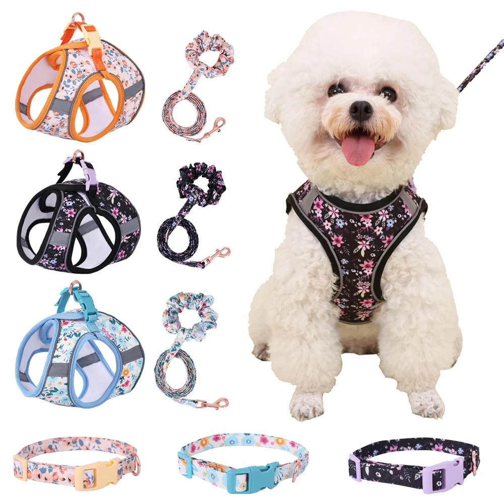 kf-S566d60baf61f480b8751a388a09512c65 Small Dog Harness Leash Set Cute Traction Bracelet Medium Cat Collar Suit Soft Puppy Vest Harness Adjustable Pet Accessories - Image 1