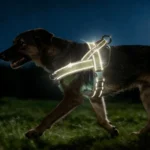 Tactical No-Pull Dog Harness for Large Breed: Heavy-Duty Vest with Reflective Strip, Adjustable & Padded for Control and Pullers - Image 4