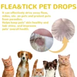 Dogs for Cat Flea and Tick Treatment for Small Medium Large Dogs Cats Topical Flea Treatments Pets Cleaning Care Supplie - Image 3