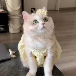 Breathable Cat Skirt Floral Wreath Collar Pretty Cute Small Dog Skirt Thin Small Dog Dress Mini Puppy Princess Dress - Image 3
