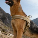 Tactical No-Pull Dog Harness for Large Breed: Heavy-Duty Vest with Reflective Strip, Adjustable & Padded for Control and Pullers