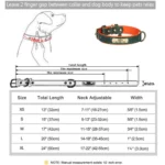 Personalized Customized Leather ID Nameplate Dog Collar Soft Padded Dogs Collars Free Engraving Name for Small Medium Large Dogs - Image 5