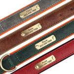 Personalized Customized Leather ID Nameplate Dog Collar Soft Padded Dogs Collars Free Engraving Name for Small Medium Large Dogs - Image 2