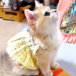 Breathable Cat Skirt Floral Wreath Collar Pretty Cute Small Dog Skirt Thin Small Dog Dress Mini Puppy Princess Dress - Image 2