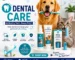 Pet Dental Care