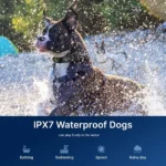 JANPET Dog Training Collar with Remote Control 1600Meters, Flashing Beacon Lights Rechargeable Waterproof Dog Collar - Image 3