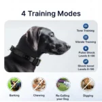 JANPET Dog Training Collar with Remote Control 1600Meters, Flashing Beacon Lights Rechargeable Waterproof Dog Collar - Image 6