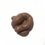 Realistic Shit Gift Funny Toys Fake Poop Piece of Shit Prank Antistress Gadget Squishy Toys Joke Tricky Toys Turd Mischief - Image 3