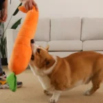 HOOPET Dog Toy Pet Carrot Plush Toy Vegetable Chew Toy for Small Medium Large Dogs Pet Sound Playing Toy Dog Accessories - Image 5