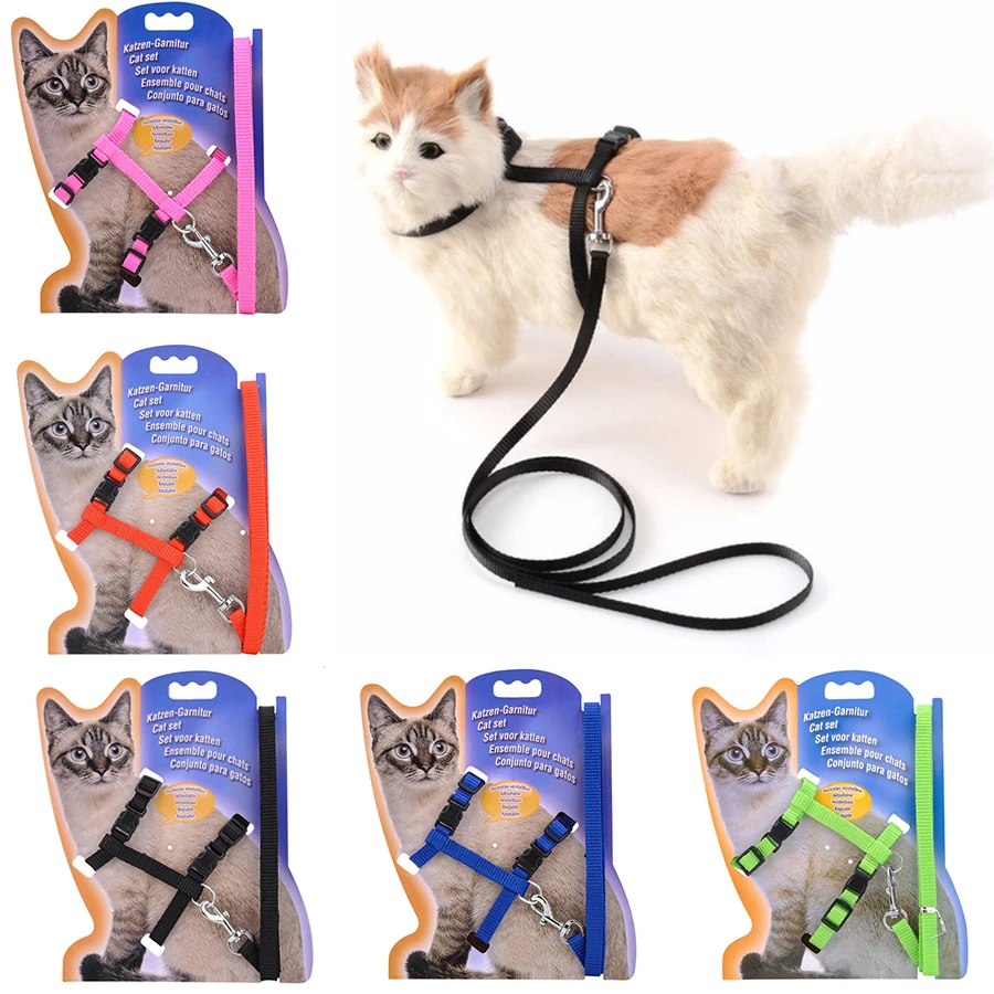kf-HTB1ZzlKKpuWBuNjSszbq6AS7FXaB 5 Color Adjustable Pet Cat Collar For Cats Cozy Nylon Rabbit Kitten Kedi Harness Leash Set Dog Cat Accessories Products For Pets - Image 1