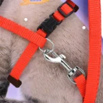 5 Color Adjustable Pet Cat Collar For Cats Cozy Nylon Rabbit Kitten Kedi Harness Leash Set Dog Cat Accessories Products For Pets - Image 3