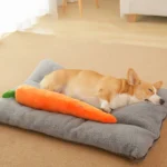 HOOPET Dog Toy Pet Carrot Plush Toy Vegetable Chew Toy for Small Medium Large Dogs Pet Sound Playing Toy Dog Accessories - Image 3