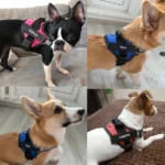 Dog Harness Reflective Breathable Adjustable Pet Harness For Dog Vest ID Custom Patch Outdoor Walking Dog Supplies - Image 4