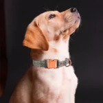 Dog Rope Walking Training Leash Neck Metal Buckle Pet Towing Rope Neck Collar Dog Chain Adjustable Linen Collar Rope Leash Set - Image 6