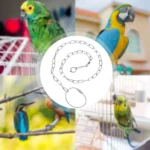 Stainless Steel Parrot Chain Leash Bird Foot Harness for Outdoor Flying Training Portable Lightweight Rust Resistant Wear Proof - Image 2