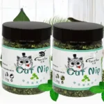 5-40g Organic 100% Cat Nip Natural Catnip Toy Cattle Grass Mint Taste Funny Cat Toy New Cat Interactive Cat Toys Pet Supplies