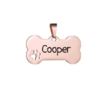 Custom Pet ID Tag Free Engraved Keychain for Dog Cat Name Tag Pendant Personalized Bone Paw Pet Accessories - Image 6