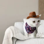 Adjustable Funny Pet Dog Hat Outdoor Summer Pet Accessories Dogs Cats Headwear Cowboy Hats Dog Cat - Image 6