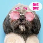 100/200pcs Dog Hair Clips Multicolor Barrettes Small Bone Snap Hair Clips for Dogs Cat Pet Grooming Bows Hair Accessories - Image 5