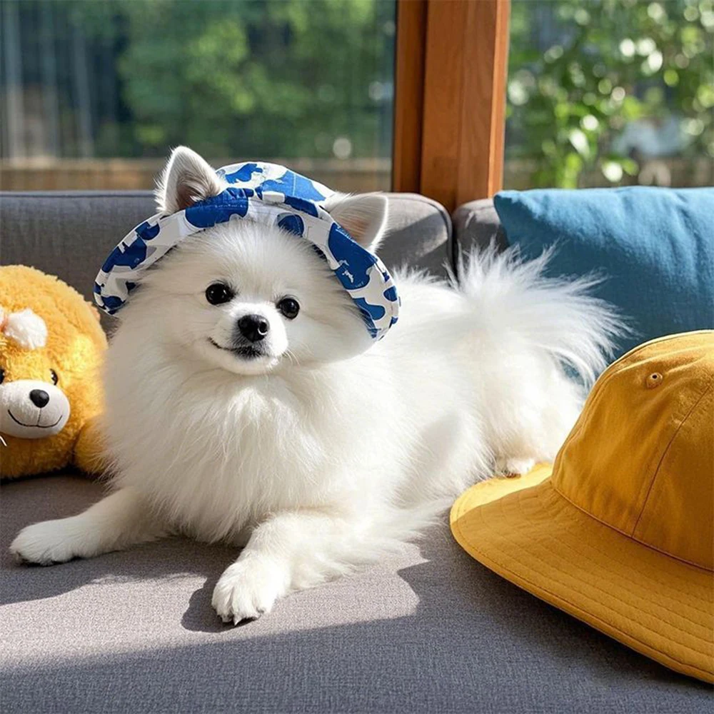 Pet Hat for Dogs