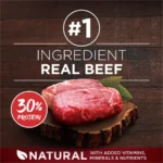 True Instinct Dry Dog Food, Muscle and Joint Support, Grain-Free Real Beef, 12.5 lb Bag - Image 4