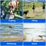 Nylon Extra Long Pet Leash Durable Dog Lead For Dog Recall Training Extended Length Anti Tangle Heavy Duty Pet Leash Outdoor - Image 3