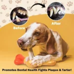 AFP 16.5cm Dog toys Anti-asphyxiation Dog Toothbrush Holder Toy Chew Stick Biting Stick Nylon Stand Freshens Breath Chewing Toy - Image 3