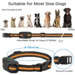 3300Ft Electric Dog Training Collar Remote Control Waterproof Pet BehaviorFor 5-120lbs Puppy With Shock Vibration - Image 9