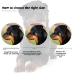Dog Muzzle Medium and large dogs can adjust the mouth cage anti-bite and anti-barking non-toxic and breathable and do not fall - Image 3