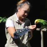 Bird Arm Protector Cotton Fabric Adjustable Anti-Scratch Parrot Protective Arm Cover for Training Play Prevent Bite Scratch Poop - Image 3