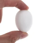 20Pcs Solid Plastic Pigeon Eggs Lifelike Simulation Eggs Reusable Washable Breeding Props Egg Prop for Racing Pigeons Bird Care