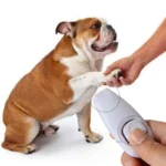 2 In 1 Pet Clicker Dog Training Whistle Answer Card Pet Dog Trainer Assistive Guide With Key Ring Dog Pet Cat Pet Supplies - Image 3