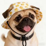 Adjustable Pet Sun Hat with Ear Holes - Breathable Dog Bucket Hat for Small Medium Dogs & Cats, UV Protection Summer Outdoor - Image 6