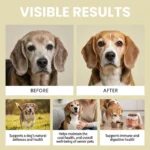 100g Dog Immune Support Supplement – Daily Immunity Defense, Promotes Healthy Immune System Function for Breeds, Easy-Mix Powder - Image 5