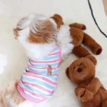 Pet Dog Vest Puppy Clothes Summer Cotton Bear Print T-Shirt Striped Dog Shirt Girls Dog Costume Chihuahua Korean Style Clothing - Image 3