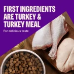 CORE Dry Dog Food, Small Breed, Grain Free, High Protein, Natural, Healthy Weight Turkey & Chicken Recipe, (12-Pound Bag) - Image 5