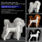 Teddy Pet simulation hair beauty fake beautician practicing dog standard Teddy full body fake head, skeleton model,pet groomer - Image 3