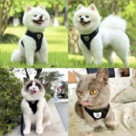 Pet Puppy Harness Leash Set for Small Dogs Cats Reflective Breathable Dog Chest Strap Walking Yorkie Vest Traction Rope Supplies - Image 5