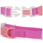 Transparent Buckle Collar Candy Color Pet Cat Dog Collars Leashes For Small Medium Dogs - Image 3