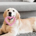 1PC Durable Handwoven Heart-Shaped Dog Chew Toy, Ideal for All Breeds, Teeth Cleaning & Playtime Fun - Image 3
