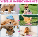 60ml Collagen Drops for Dogs Ginger Digestive & Immunity Support Skin Coat Liquid Supplement for Hips Joints Allergy Relief - Image 6
