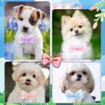 50pcs Small Dog Bowties Neckties Cute Lace Pet Bows For Dogs Pets Bow Tie Collar Dog Grooming Accessories For Small Dogs - Image 2