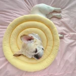 Elizabethan Collar For Dogs Adjustable Dog Collar Pet Recovery Collar Soft Pet Cone for Small Medium or Large Dogs, Cats - Image 3