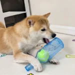 Dog Chew Toy Bite-resistance Beer Bottle with Tennis Ball Toy Pet Puppy Teeth Grinding Dog Chewing Squeaky Interactive Toys - Image 2
