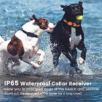 Electric Dog Training Collar Waterproof Dog Bark Collar Pet With Remote Control Rechargeable Anti Barking Device All Size Dogs - Image 5