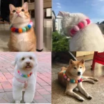 50pcs Elastic Plush Pom Ball Pet Collar Rainbow Flower Hair Decoration Dog Bowtie Necklace Pet Cat Bow Dog Grooming Accessories - Image 4